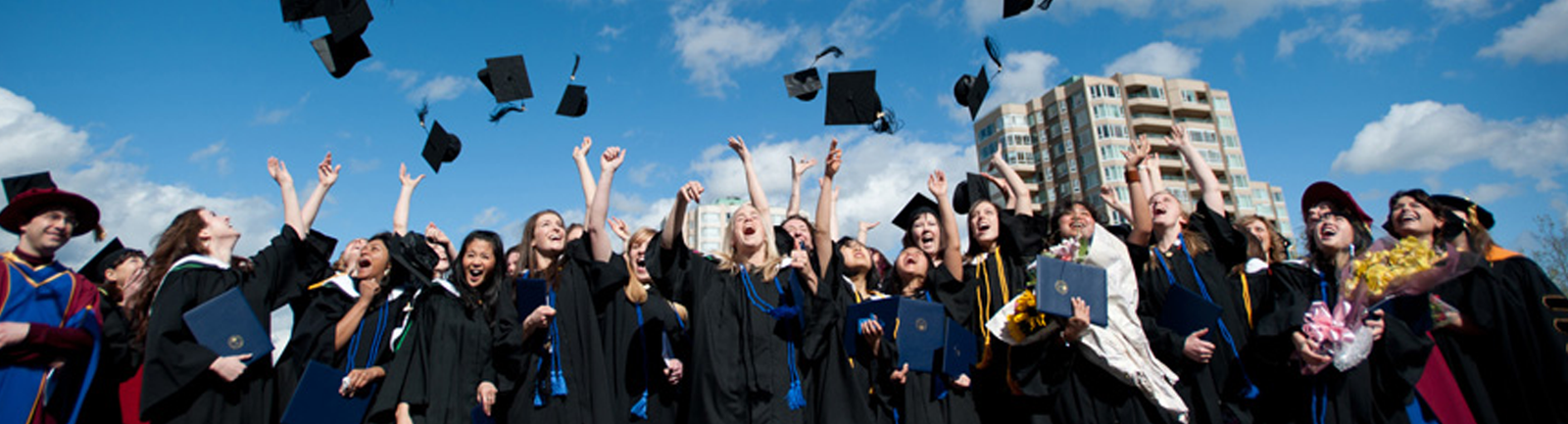 Softek Institute of Information Technology